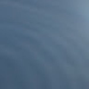 Meet your Posher, Meehyun